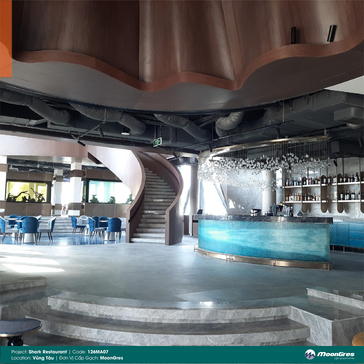SHARK RESTAURANT-04.jpg